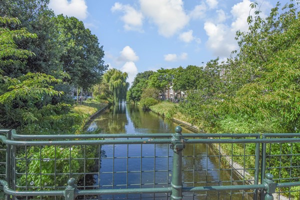 Medium property photo - Halleystraat 52, 2563 EP The Hague